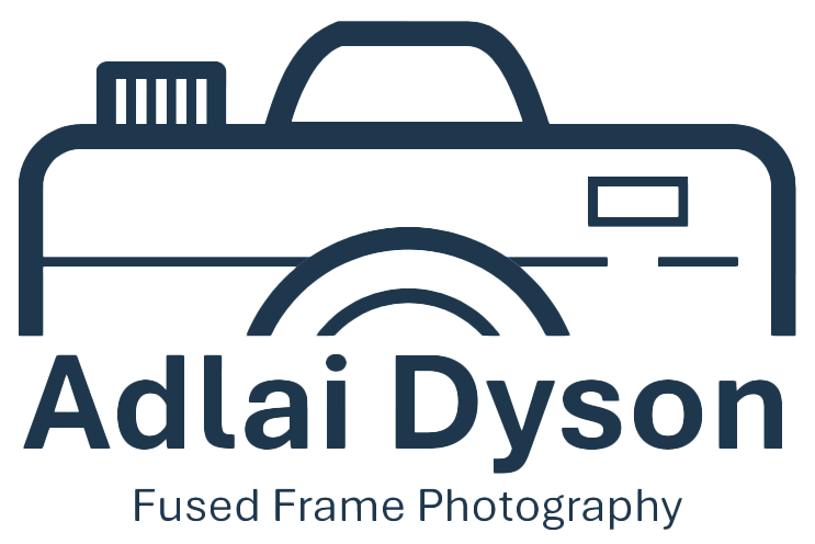 Adlai Dyson's Blog