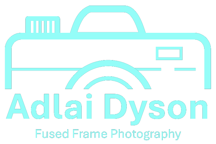Adlai Dyson's Blog